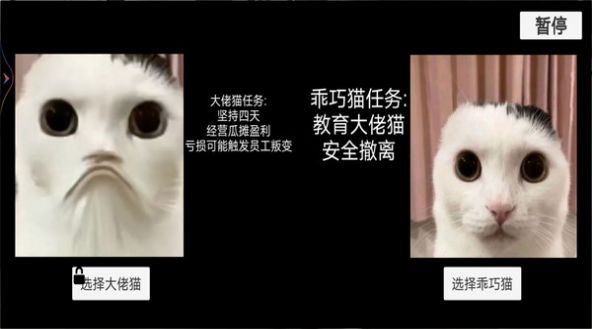 猫猫惊魂夜最新手机版