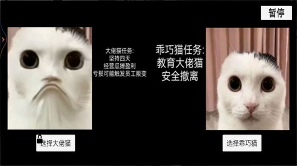 猫猫惊魂夜最新版