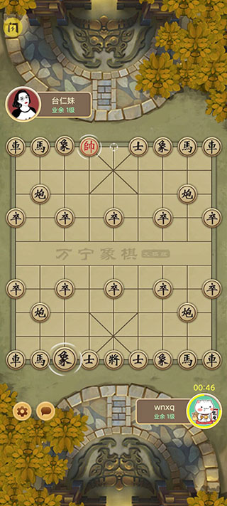 万宁象棋免广告版