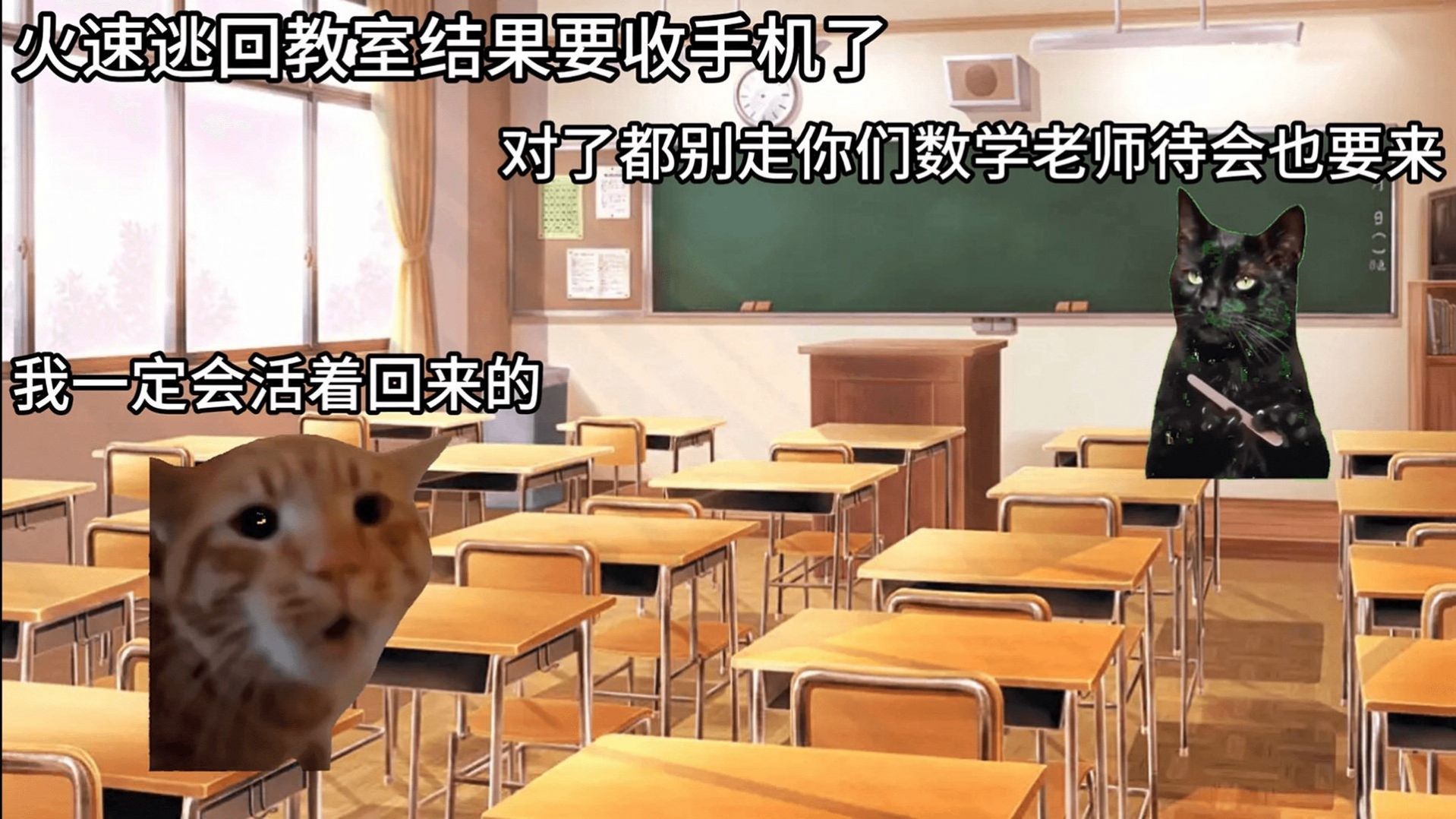 恐怖猫猫惊魂安卓版