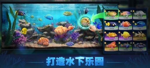 Top Fish最新版