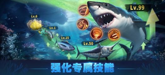 Top Fish中文版最新版