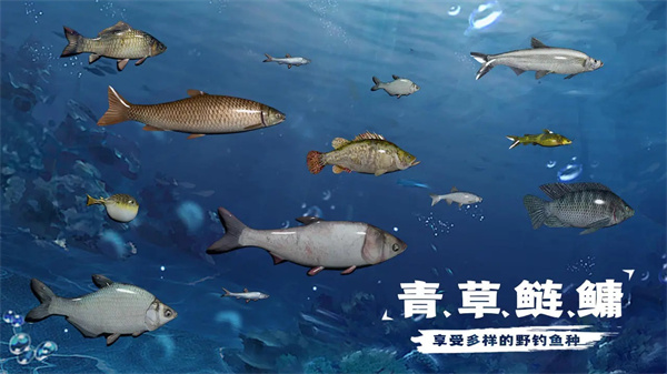 天天钓鱼水族馆鱼收入是怎么算的 天天钓鱼水族馆收入攻略图1