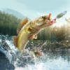 Professional Fishing 2 mod  for android